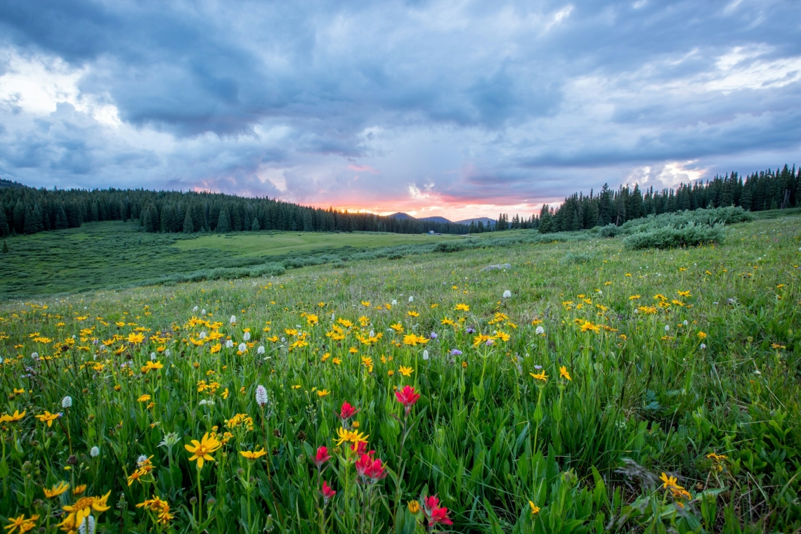 Landwirtschaft und Naturschutz gehen Hand in Hand 